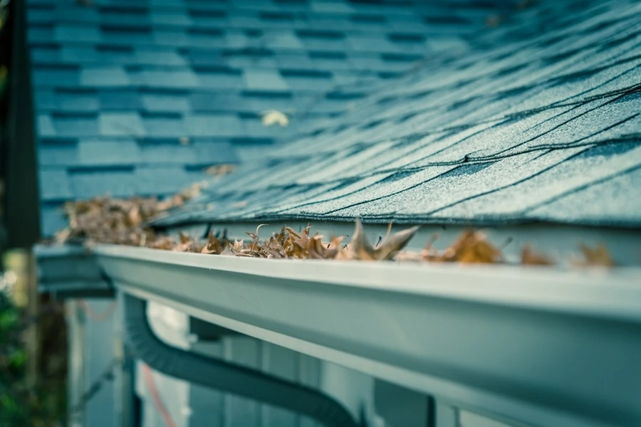 Signs Your Gutters Need Immediate Cleaning in San Pablo, CA